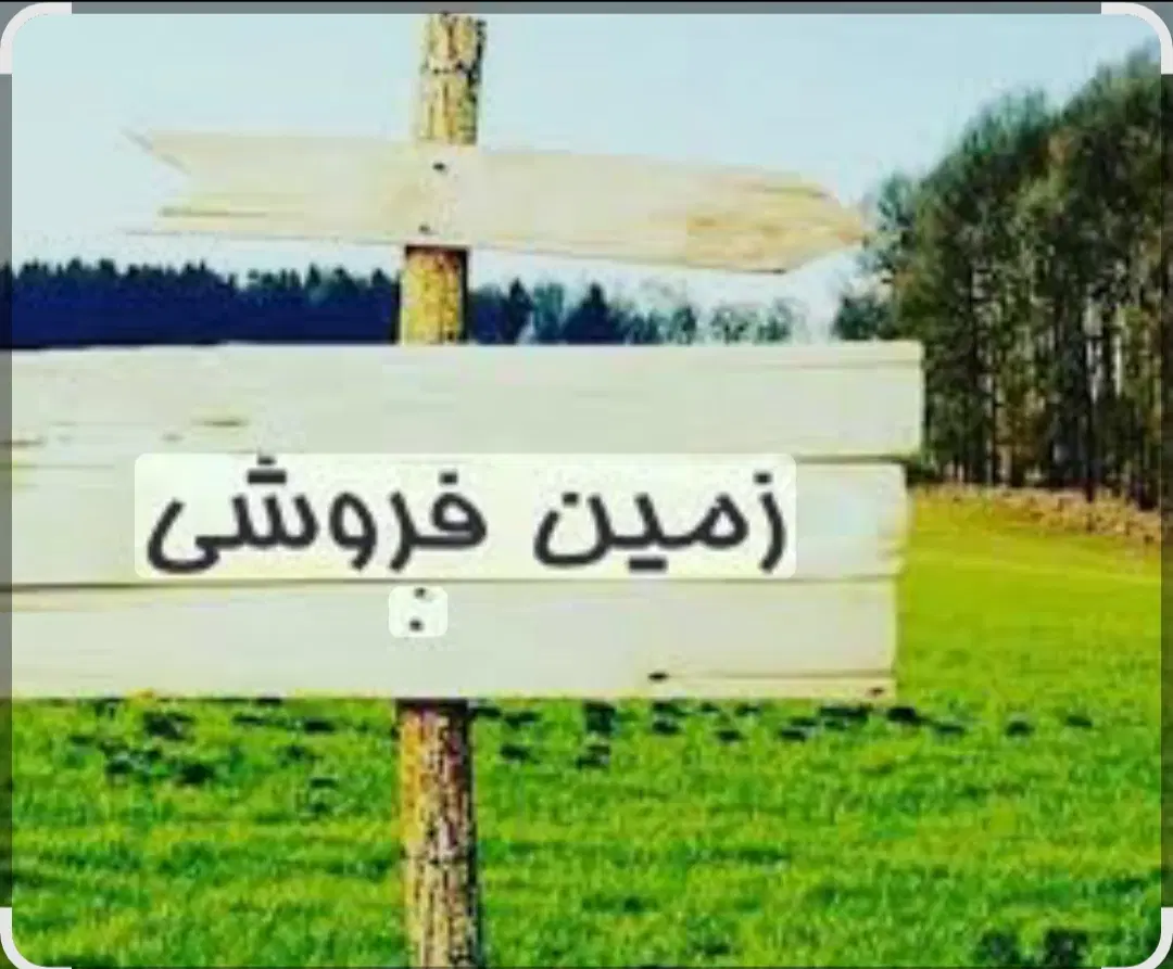 ملک فروشی، گهواره