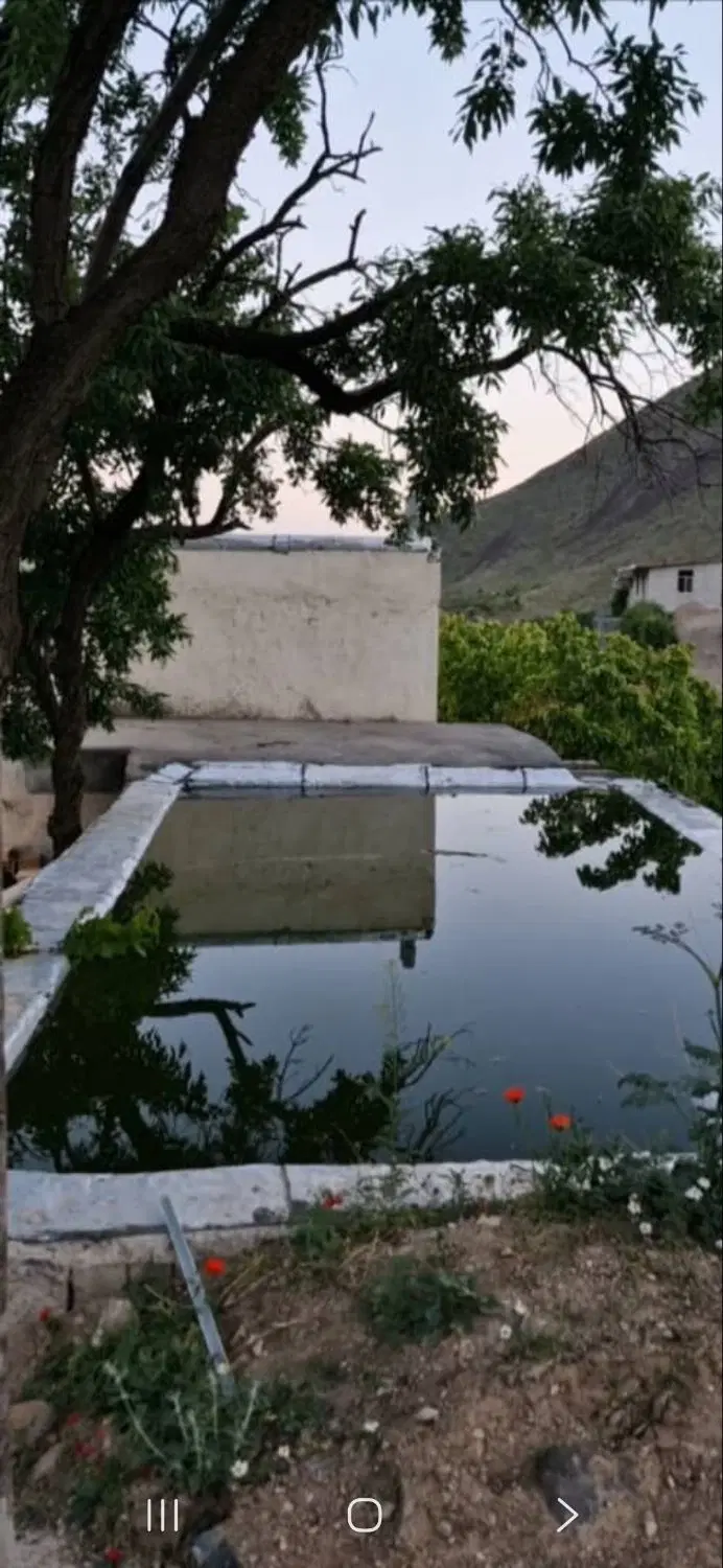 فروش باغچه ویلا در روستای نیوشت به قیمت ۱_۱۰۰