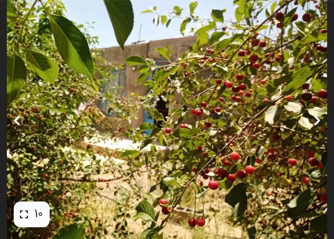 باغ ویلایی 1000متری بهداشت یاران