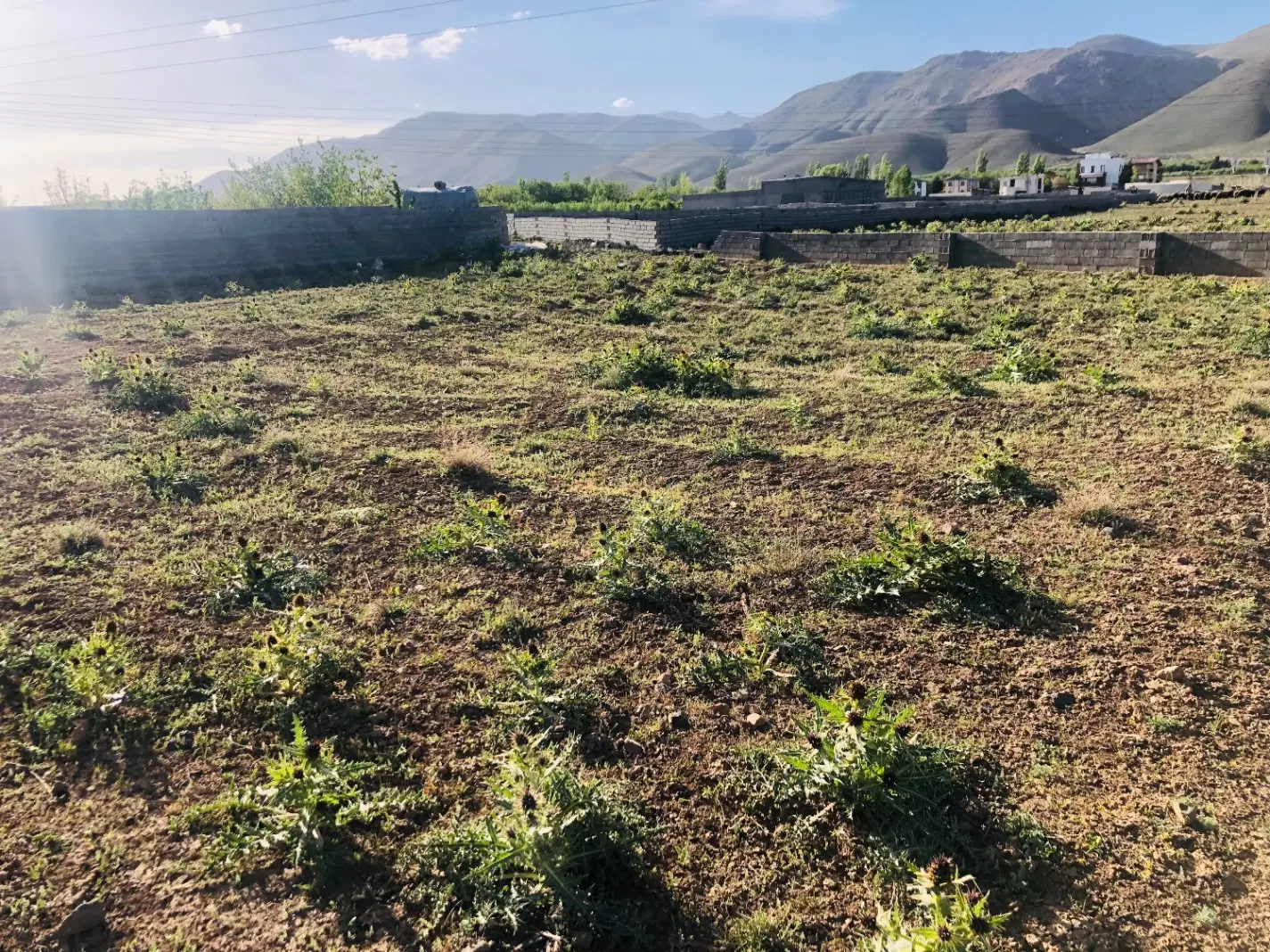 ۲۵۰ متر زمین گلایول سربندان