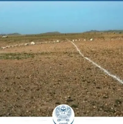 زمین در شهرک ولیعصر