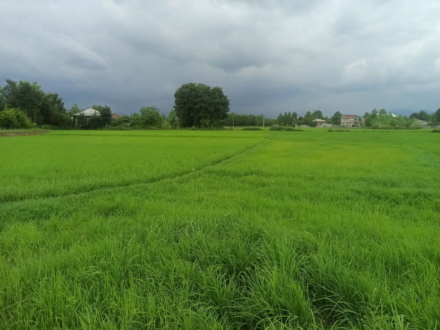 امتیاز جهاد کشاورزی فاز دو
