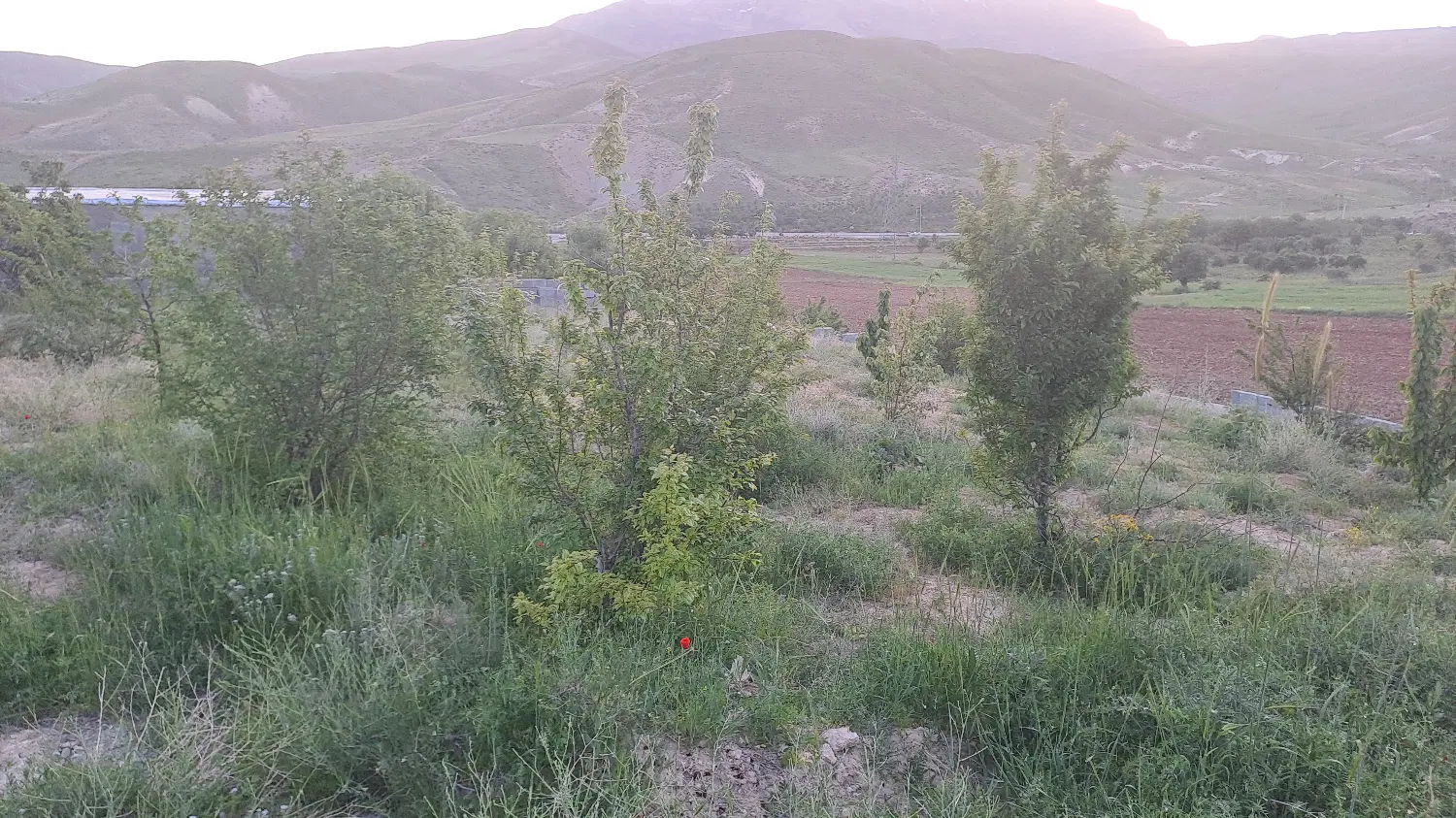 فروش زمین با کاربری گردشگری منطقه گندمان