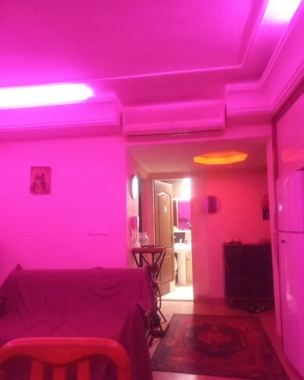 همخونه خانم