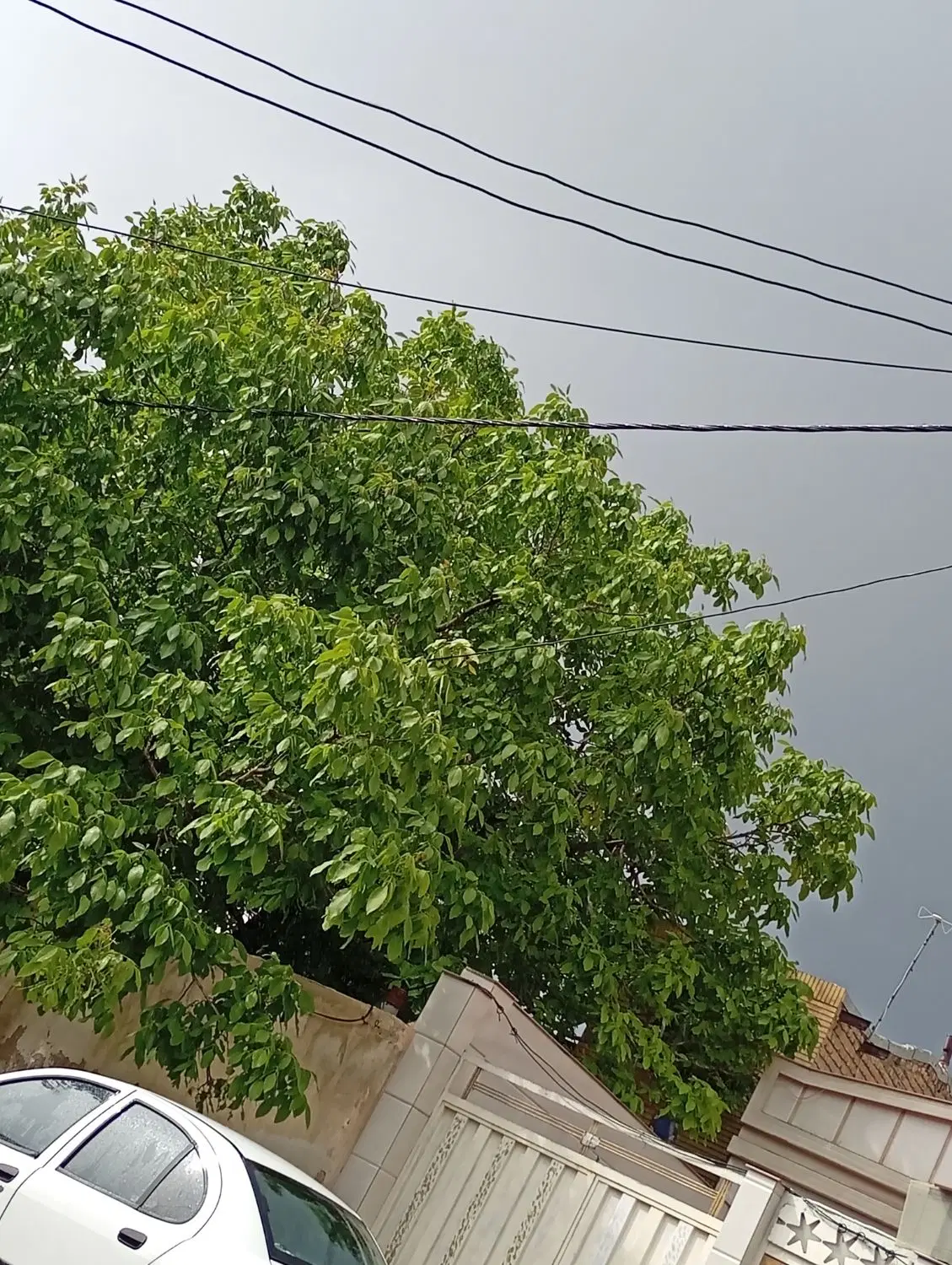 اجاره خانه آپارتمان معبر جدا
