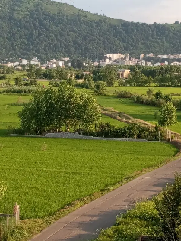 213متر مسکونی