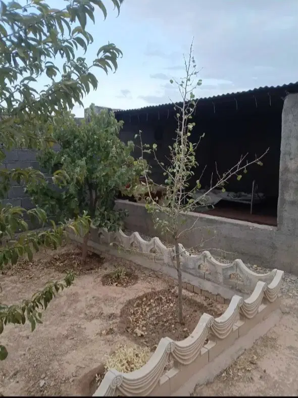 زمین ۵۰۰ متری زاک شاهنامه