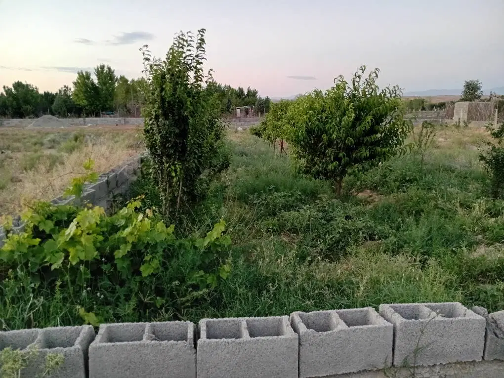 باغچه ۶۰۰ متری