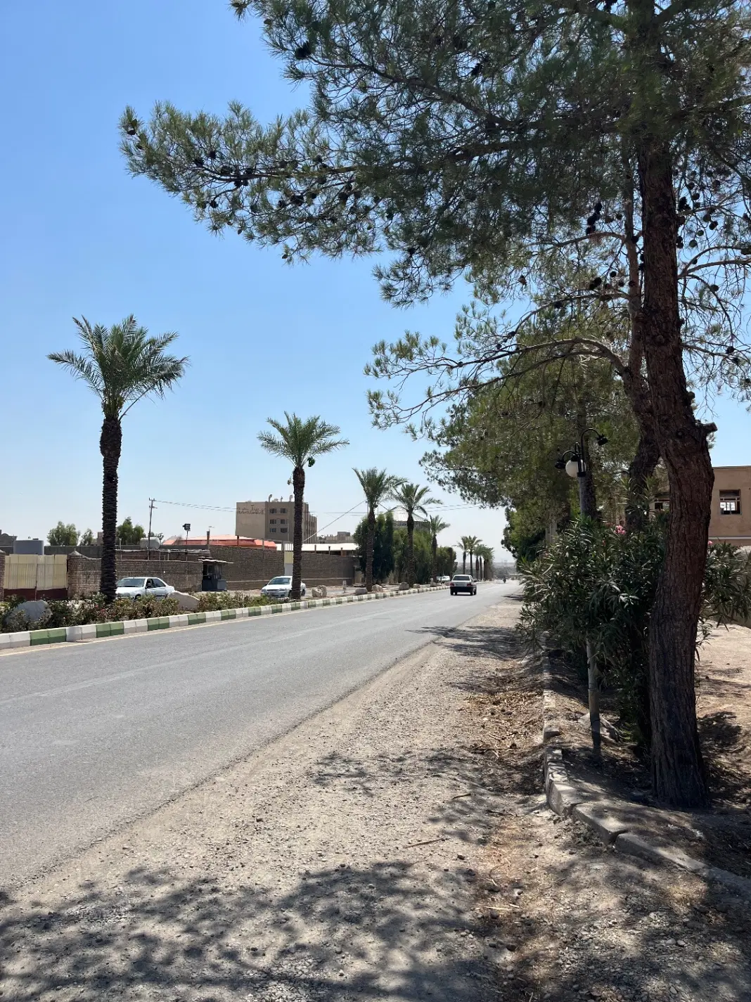 زمین جنوبی شهرک زعفرانیه _نیک اندیش
