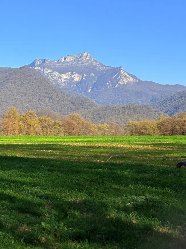 زمین کشاورزی باغی