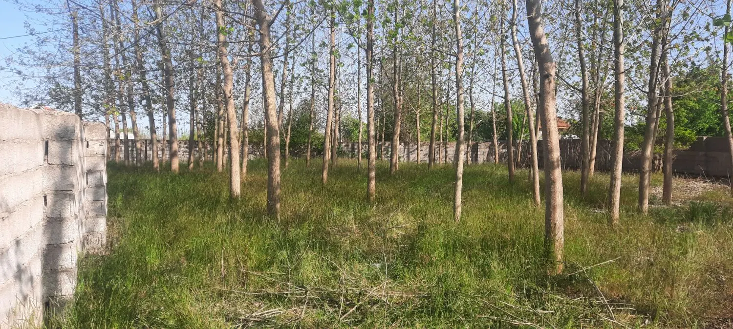 زمین مسکونی رودبنه