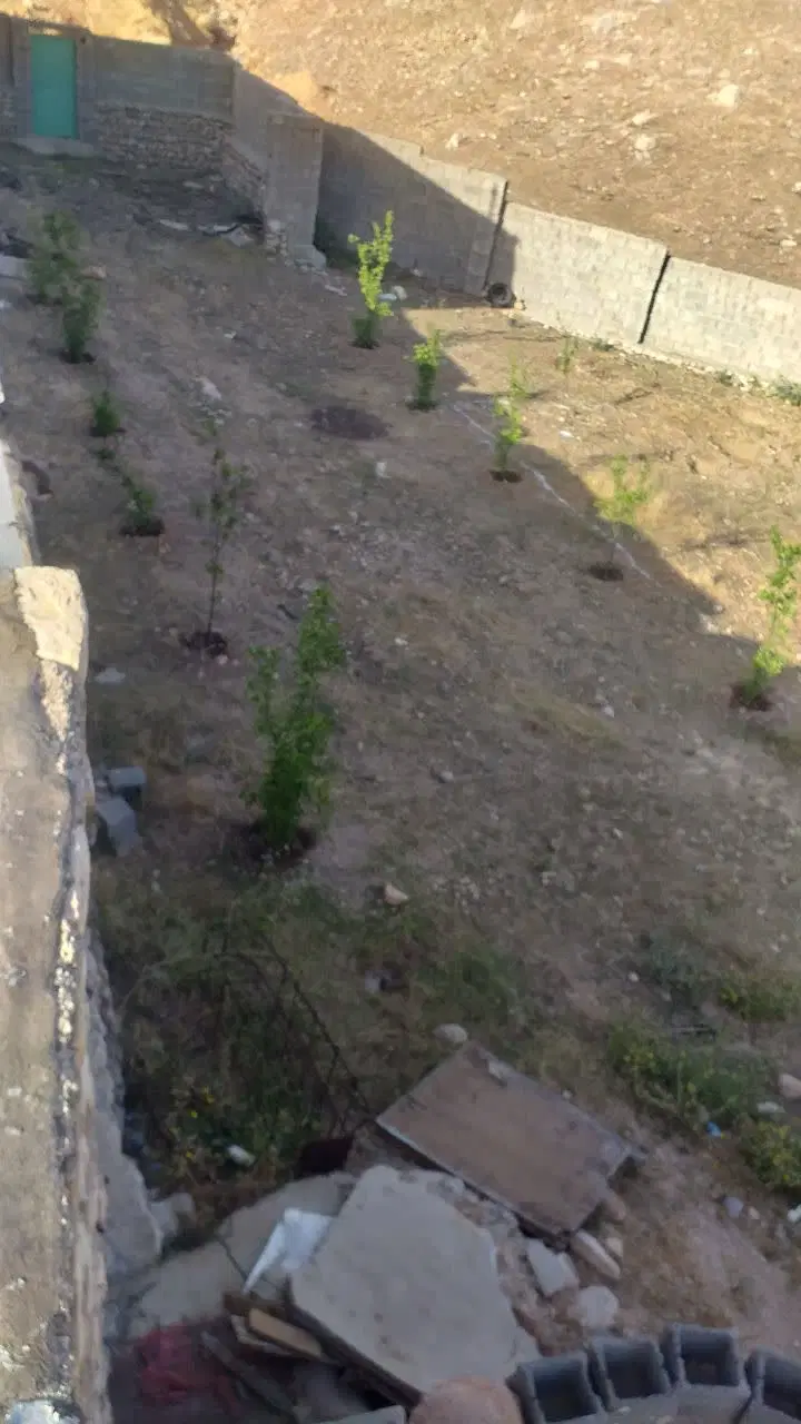زمین مسکونی