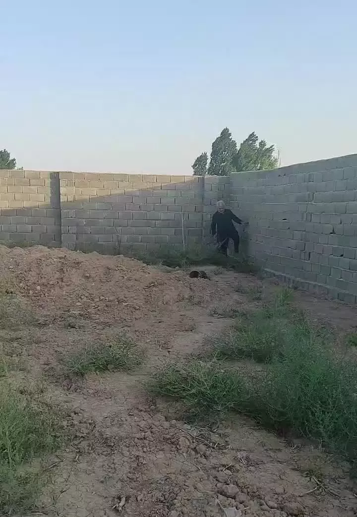 فروش زمین کشاورزی