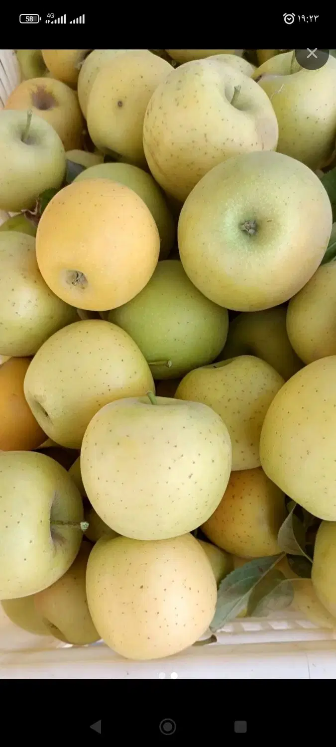 واگذاری مغازه میوه فروشی