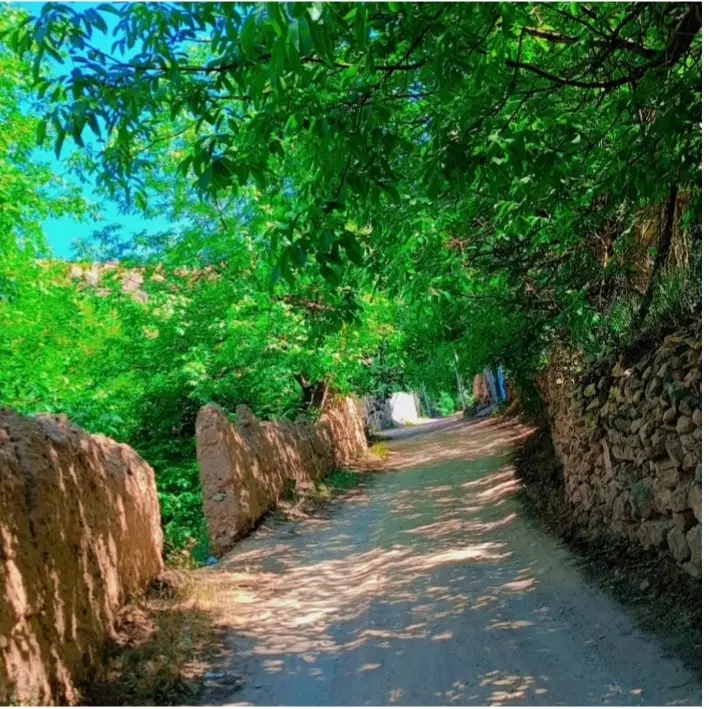 فروش زمین درروستای کوهستانی ورده