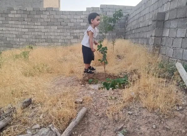 چهار دیواری تجاری و مسکونی