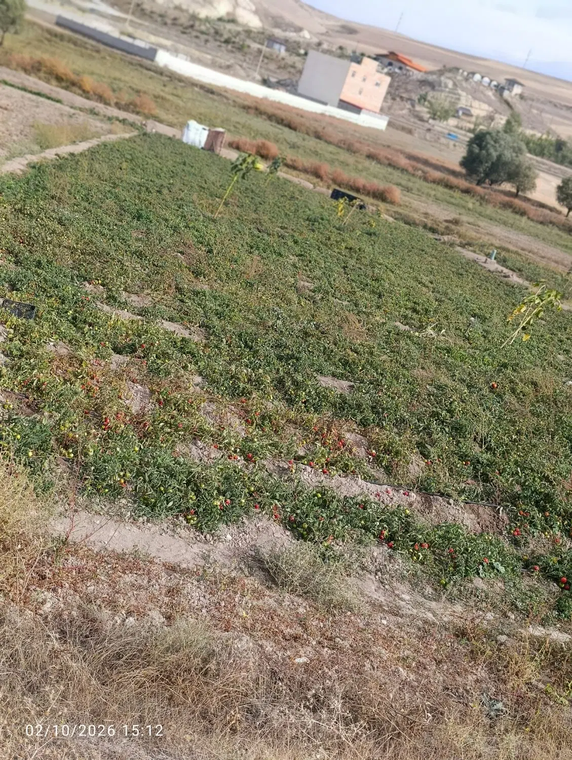 سه هزار متر زمین در روستای قاسم قشلاقی