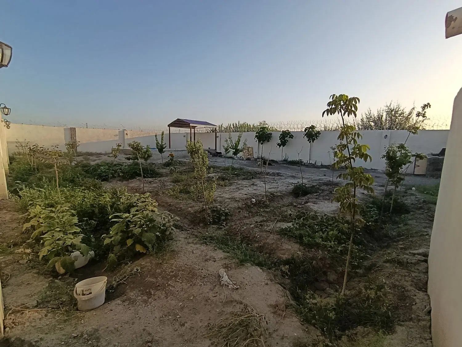 باغچه