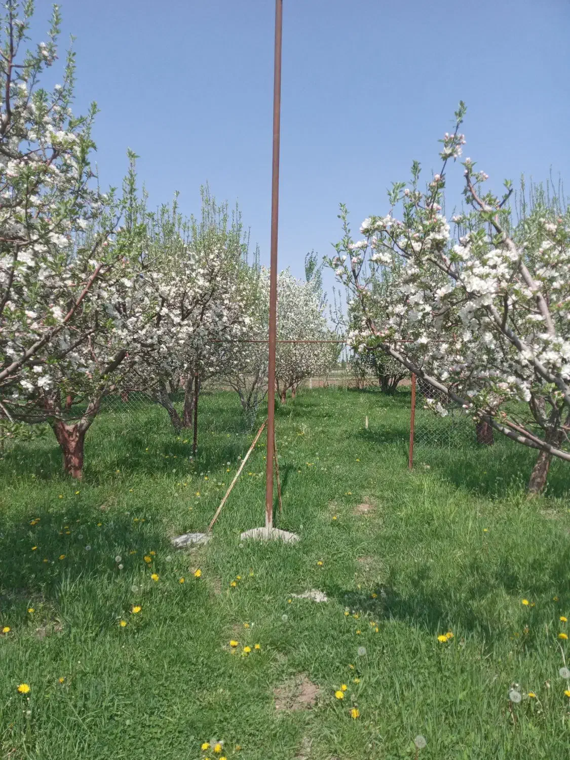 فروش باغ در کمربندی سراب