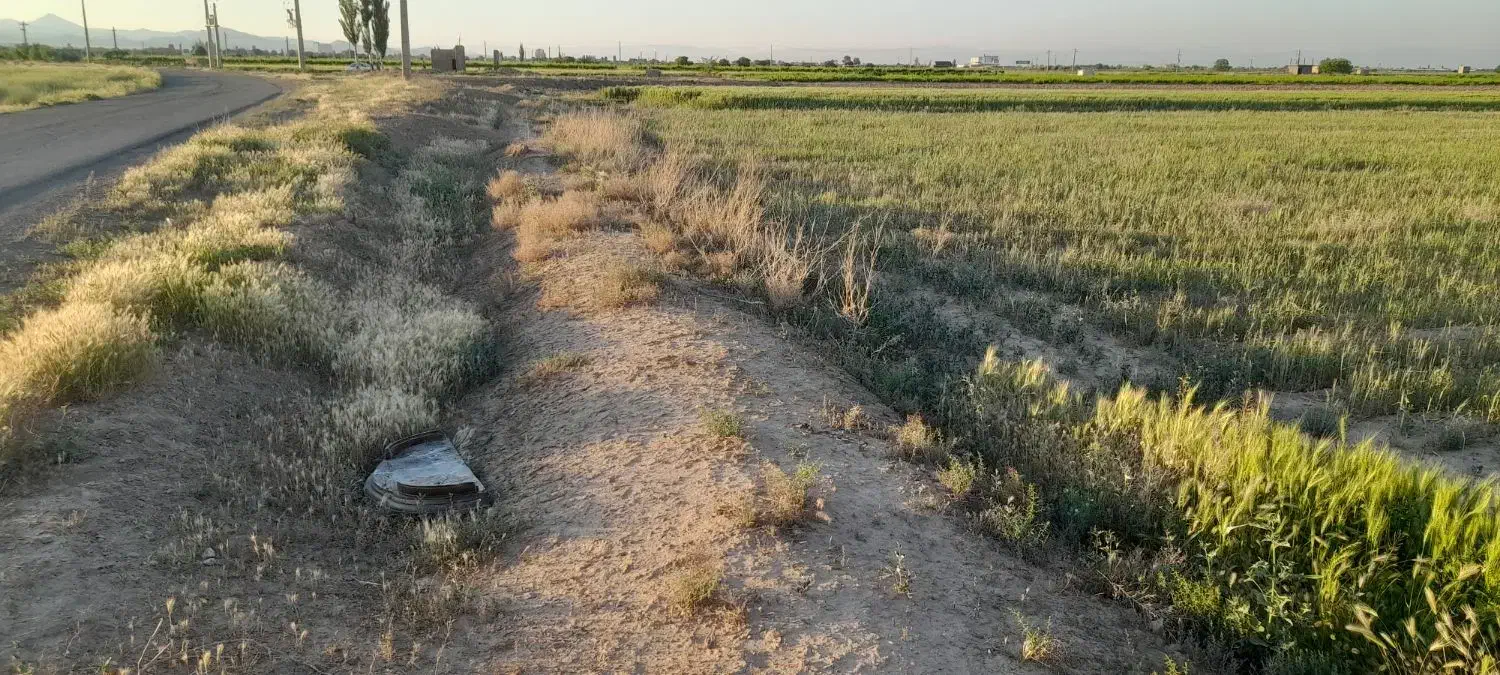 زمین کشاورزی