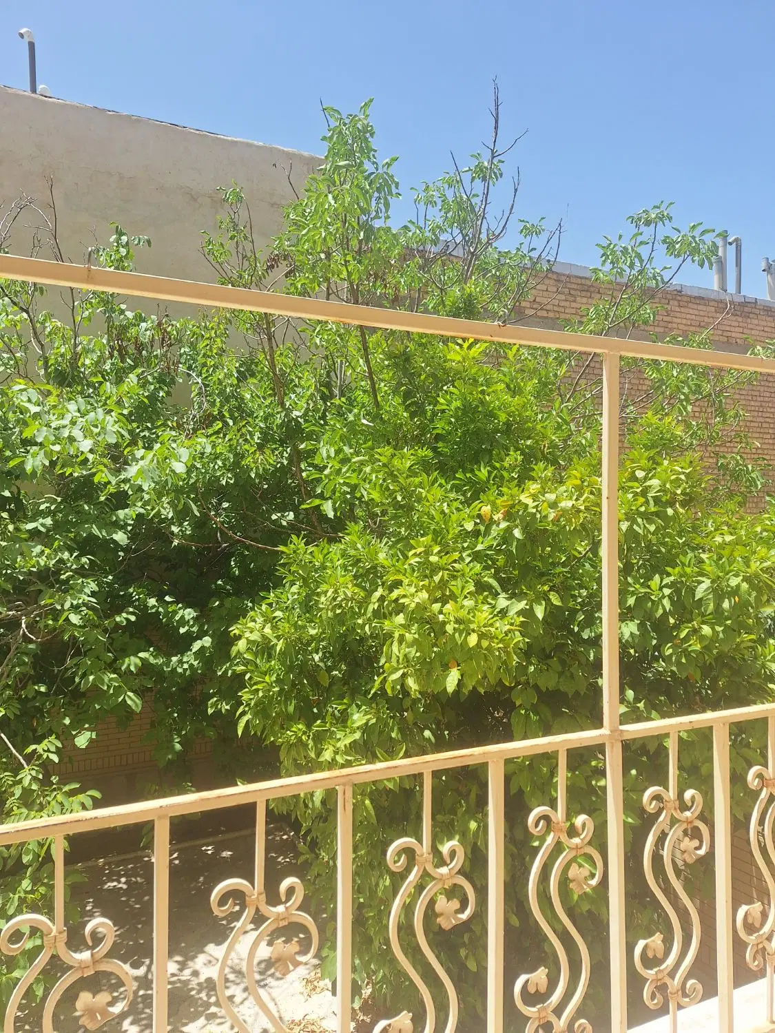 رهن و اجاره منزل ویلایی