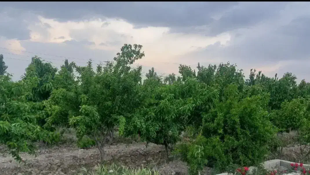 باغ‌۱۰۰۰‌متر‌‌دارای‌سهمی‌آب