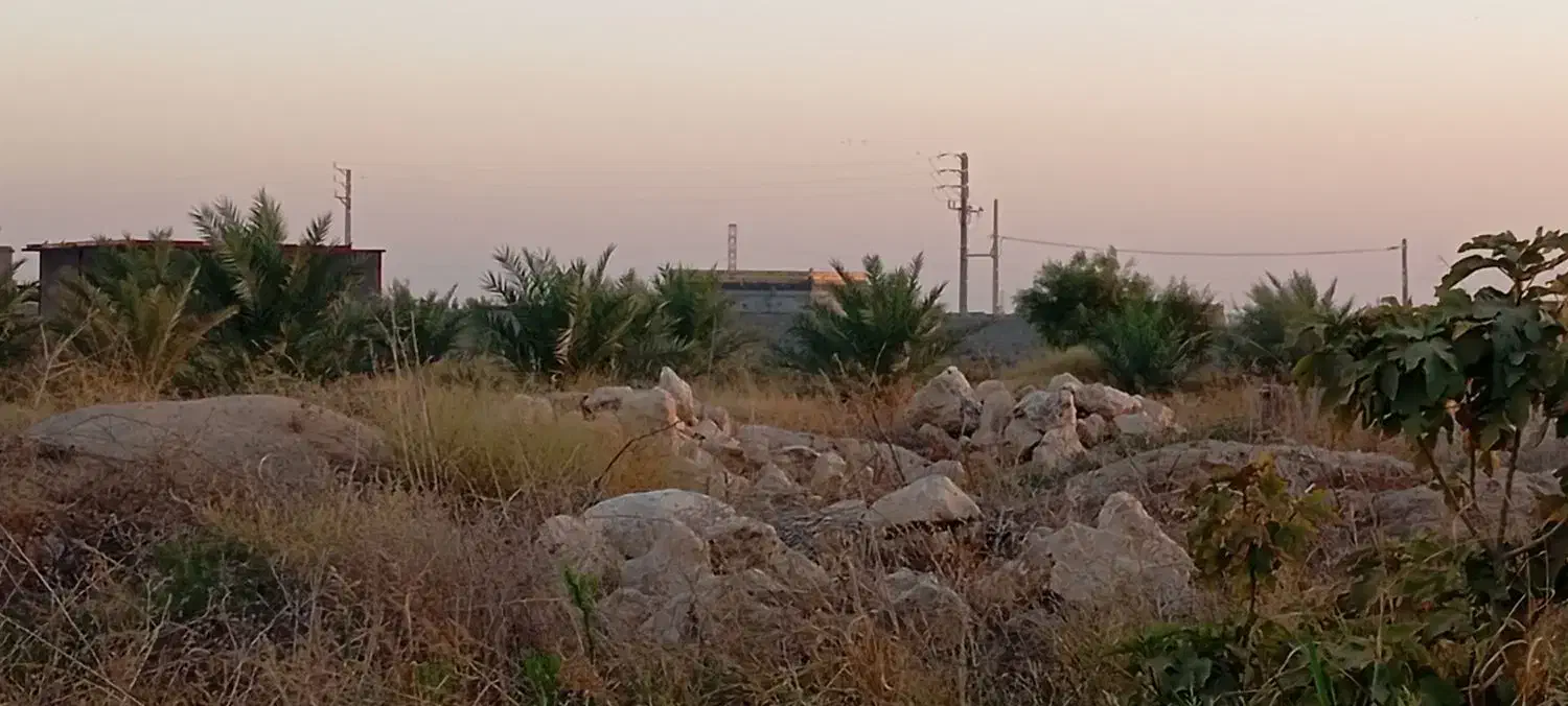 زمین ویلا باغ منصوریه