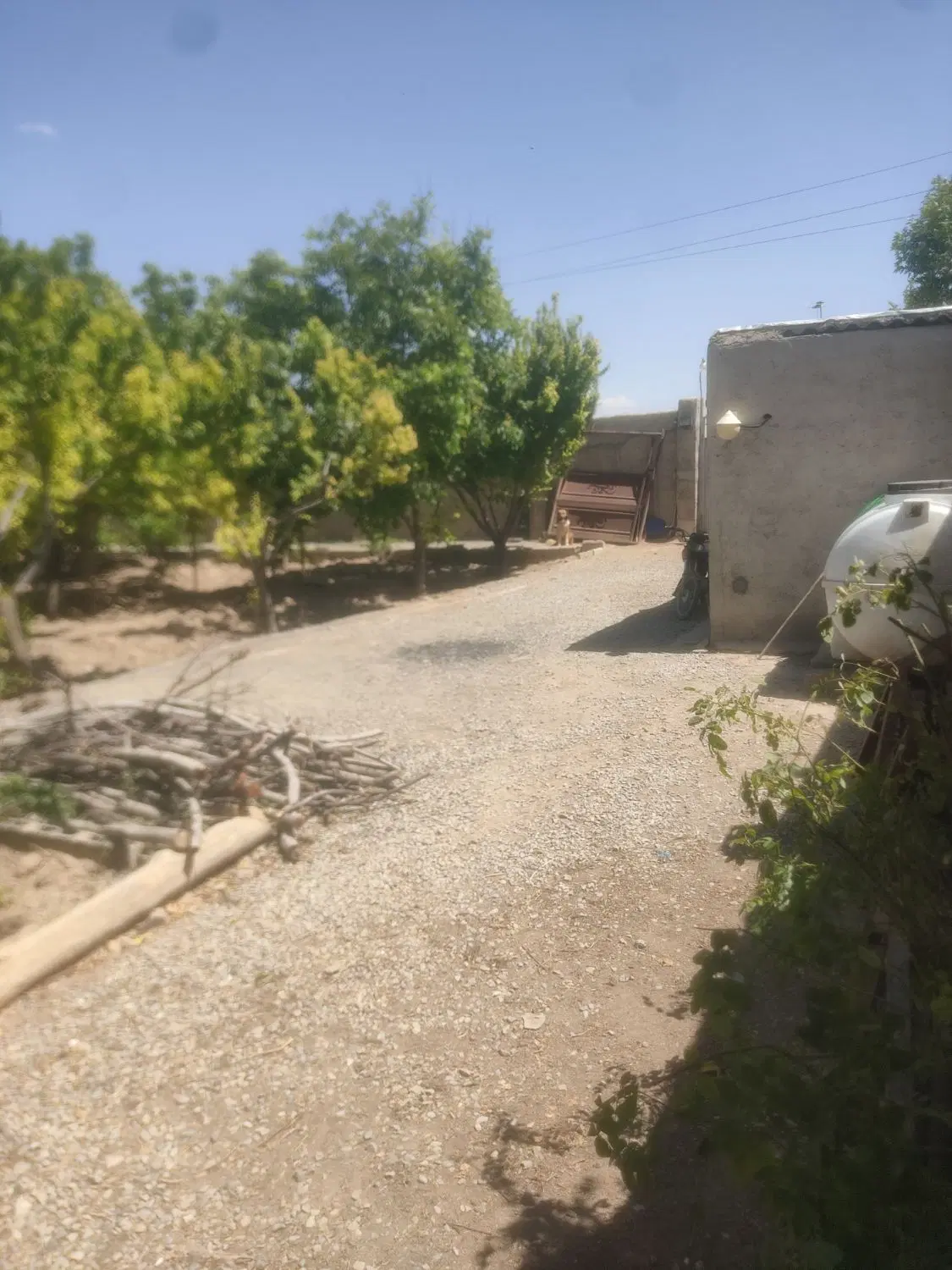 باغ خیابان سعدی