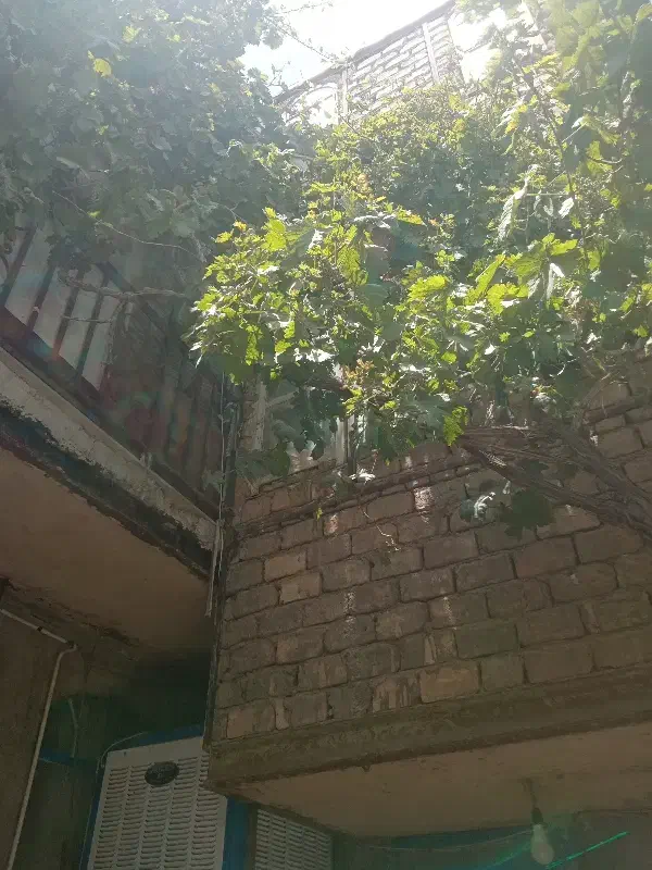 اجاره منزل مسکونی