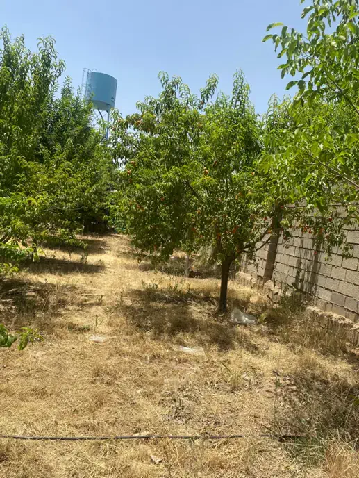 باغ شهری جاده صدرا ۱۳۰۰ متر