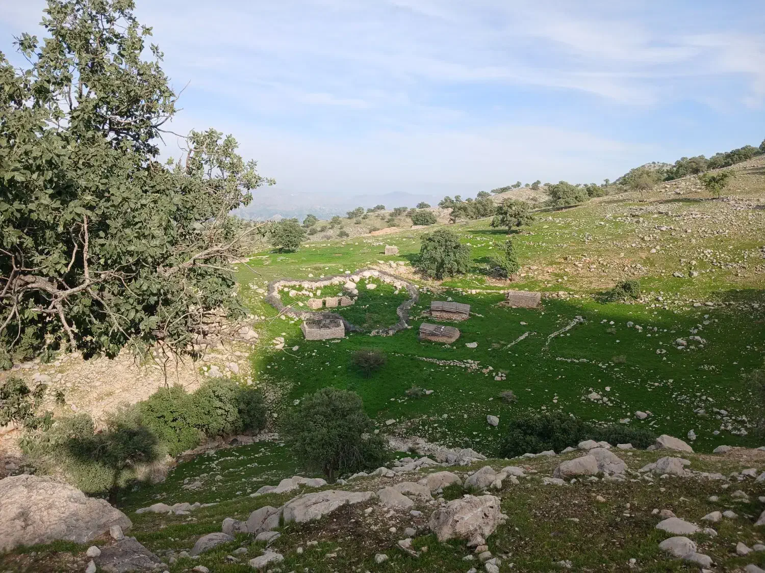 زمین تجاری