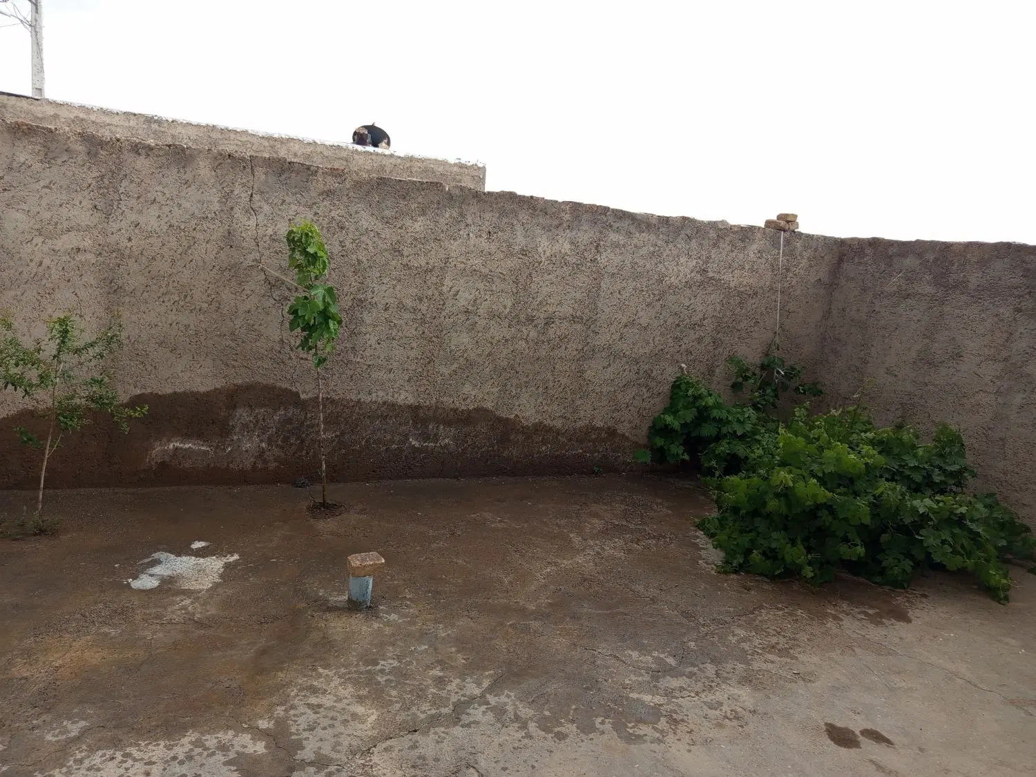 ۱۰۰ متر تازه ساخت درتاکستان