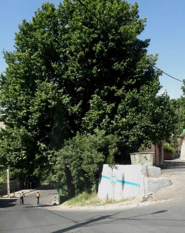 زمین چهار دیواری