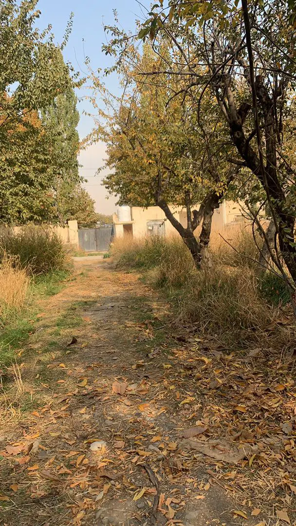 مهرشهر چمن ۲