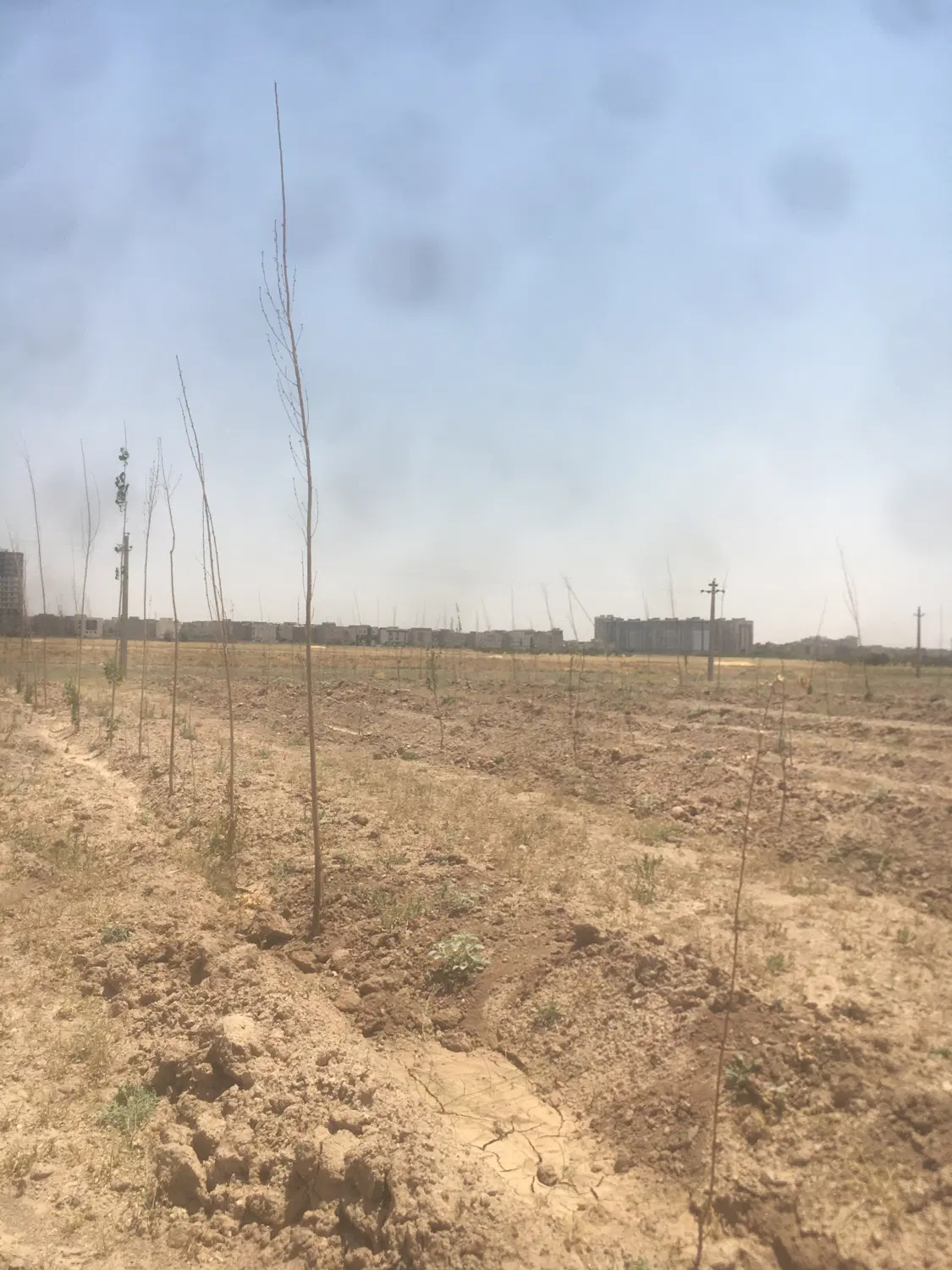زمین باغی مناسب سرمایه گذاری