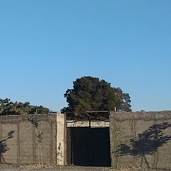 زمین ۵۰۰ متری احمدآباد مستوفی حسن آباد خالصه