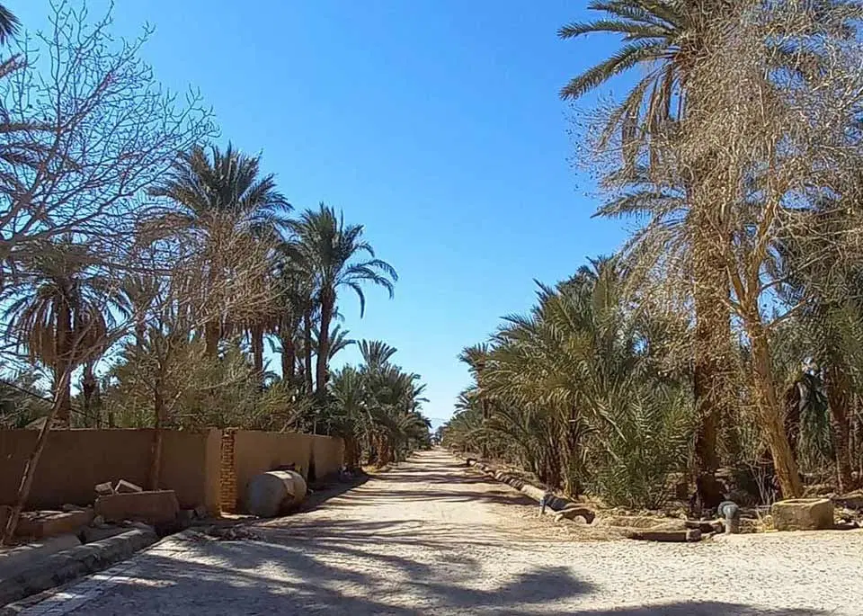 زمین مسکونی