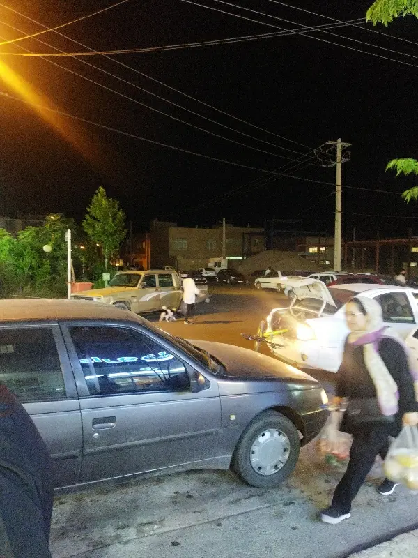 زمین محله 7 گلبهار
