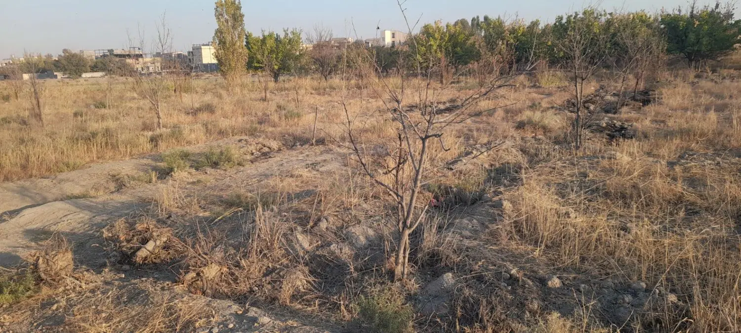 زمین ۲۰۰متری کشاورزی نردیک بافت