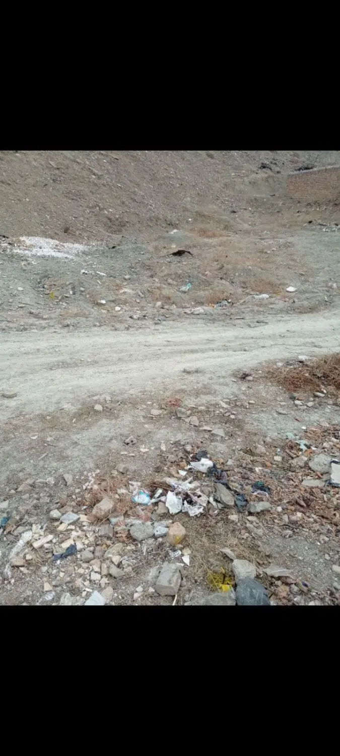 زمین بادکی