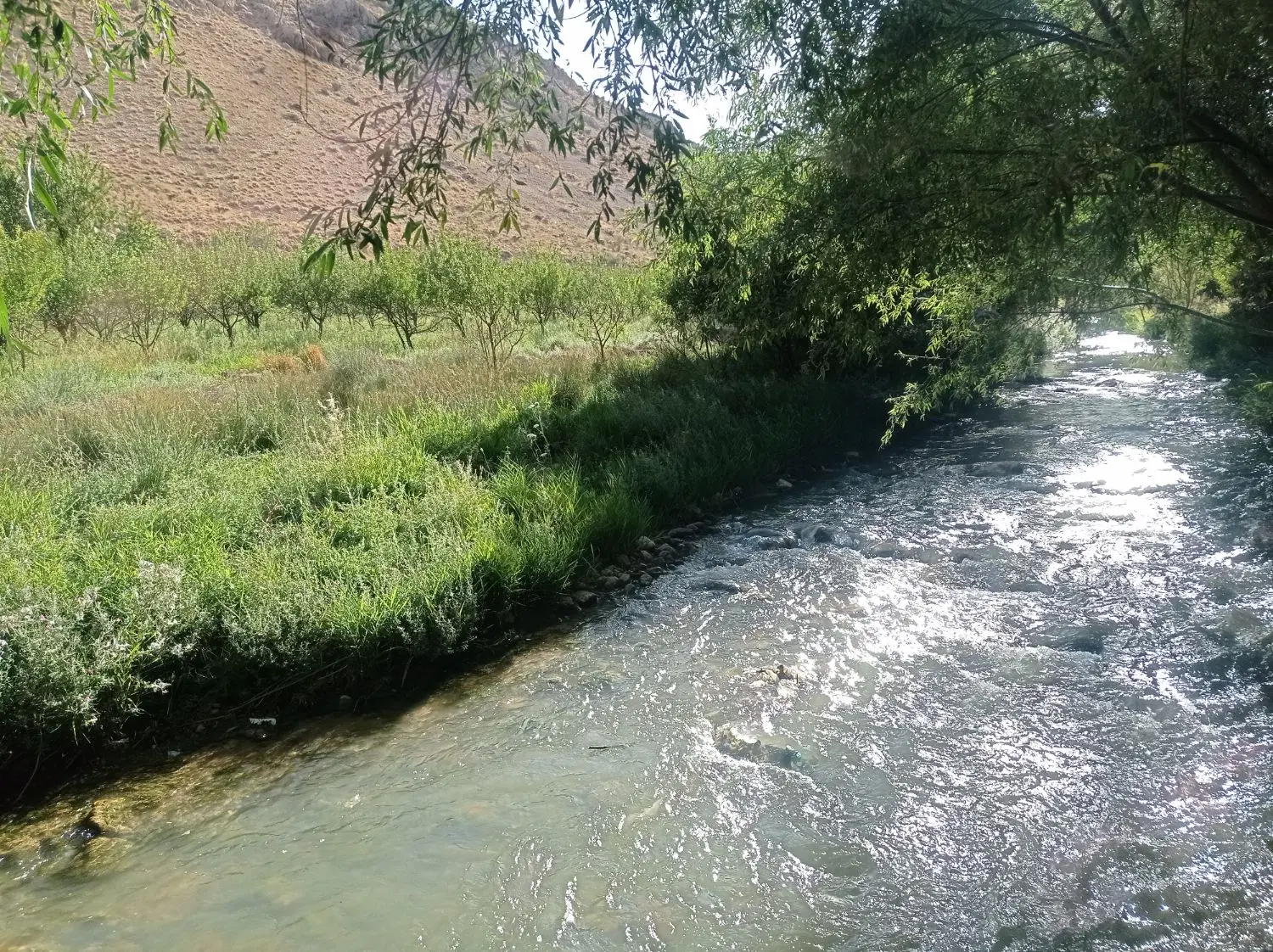 جنوب جم سند ثبت