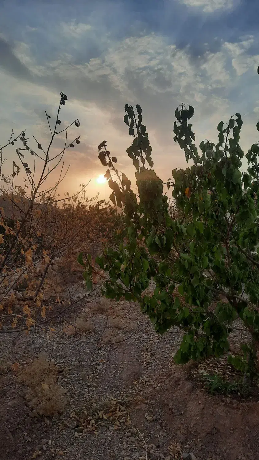 باغ ییلاق