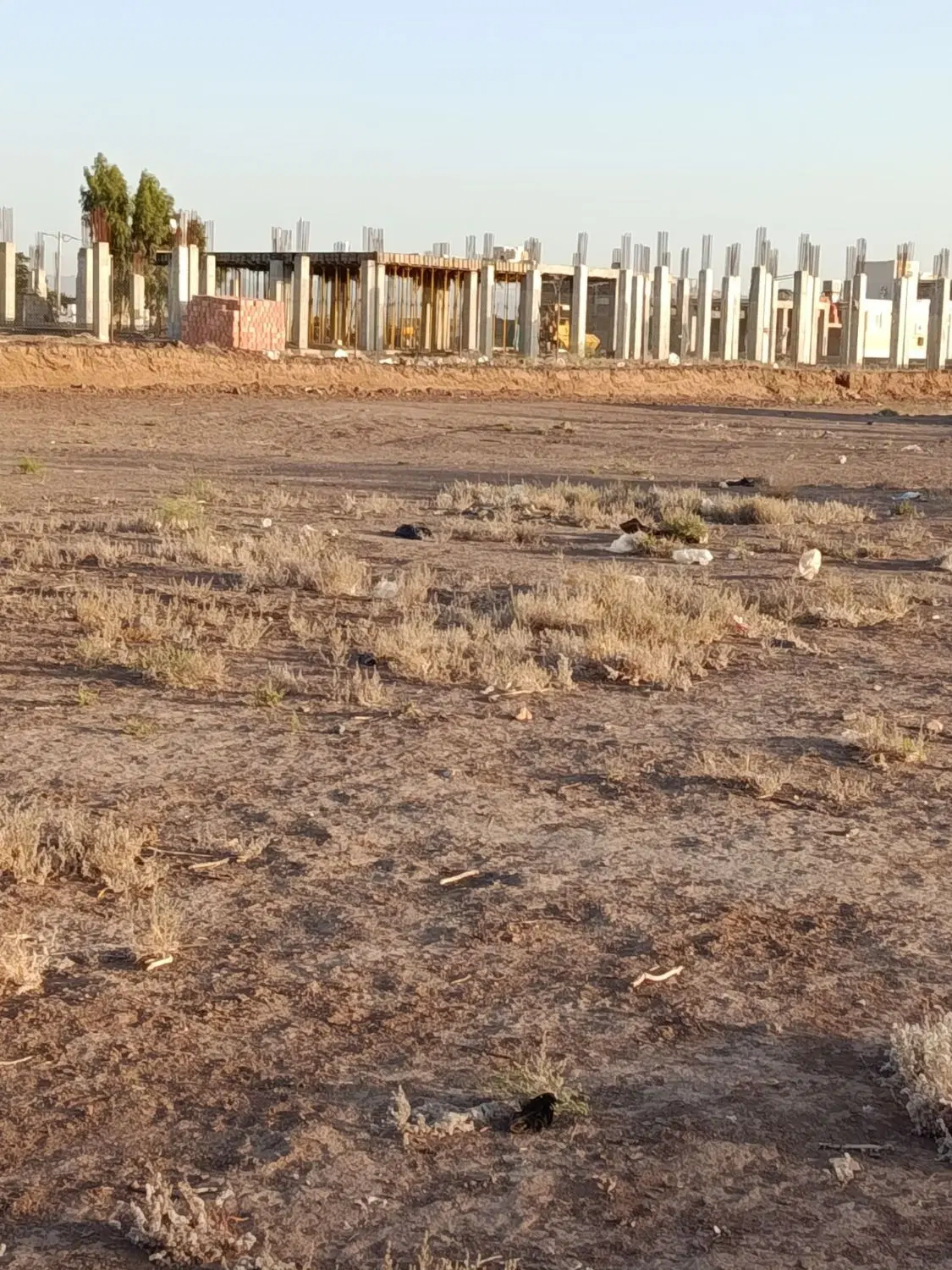 زمین تجاری امام رضا ، یگانه