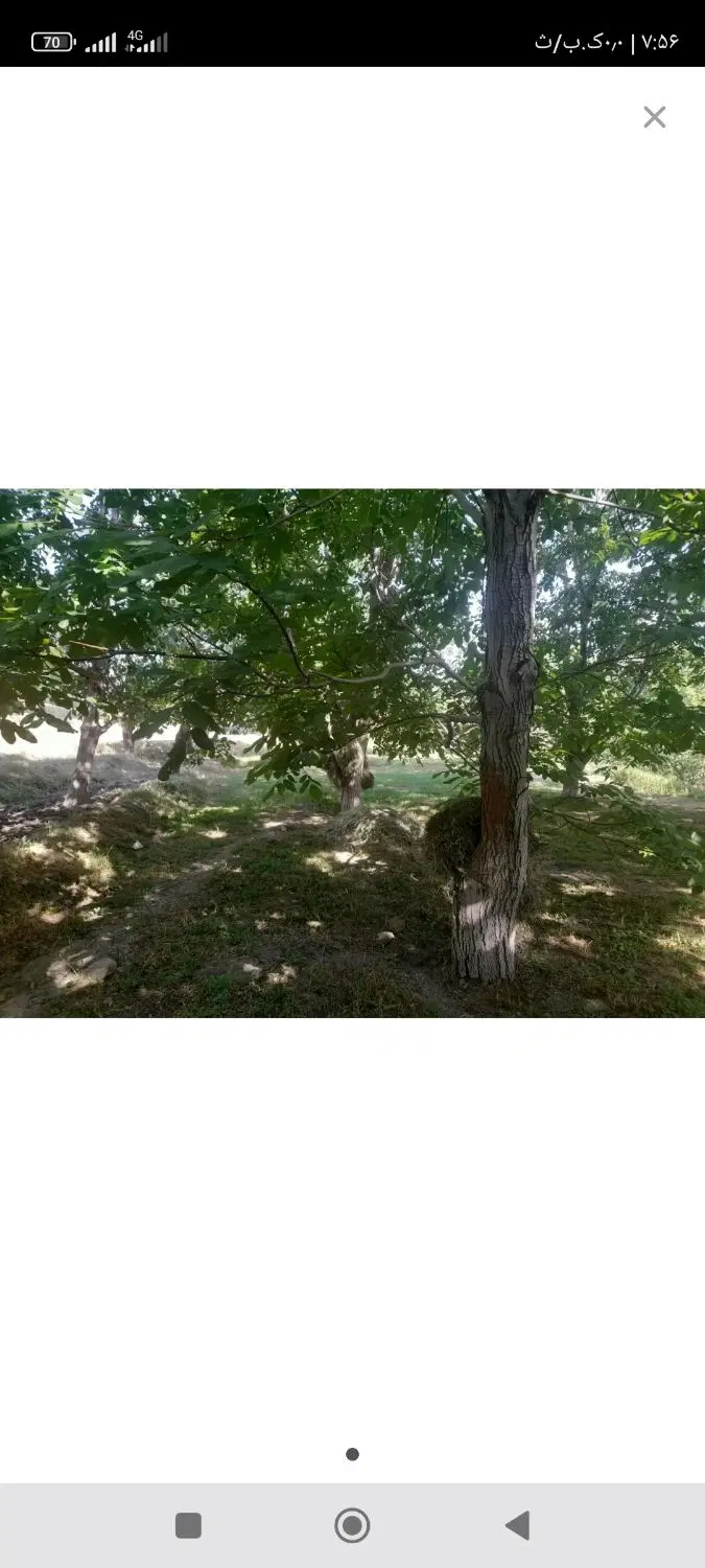 زمین باغ مسکونی جاسب دلیجان نیمور نراق