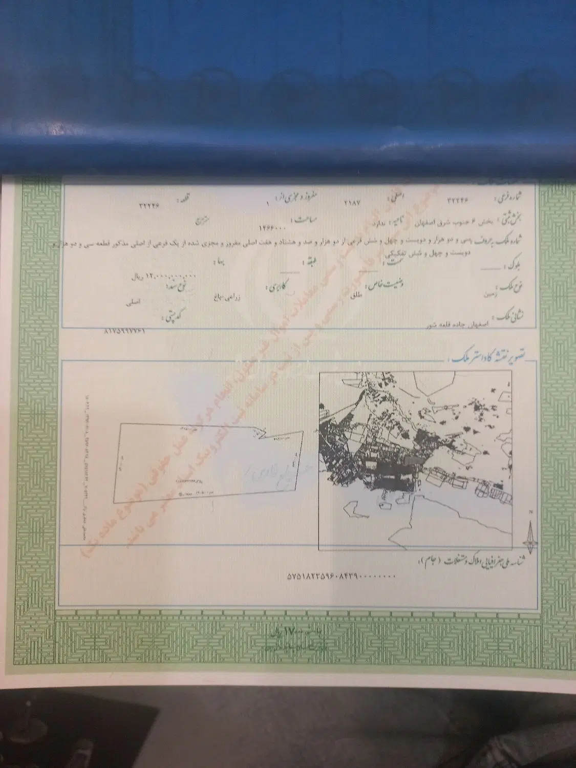 زمین باغ  سند تکبرگ سبز
