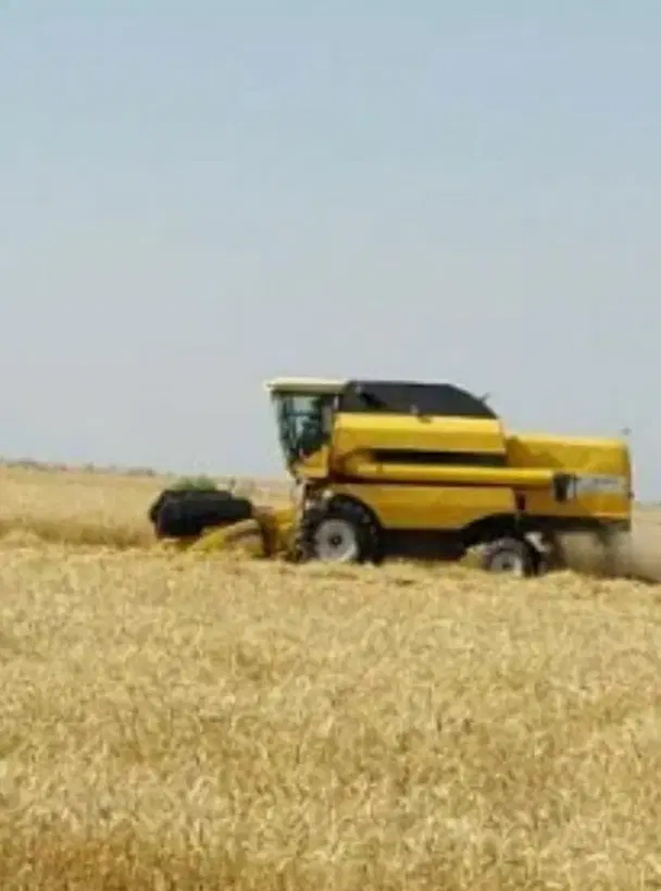 زمین ایجاره