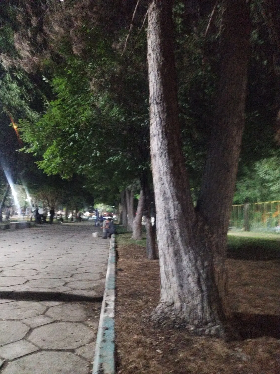 ملک ویلایی