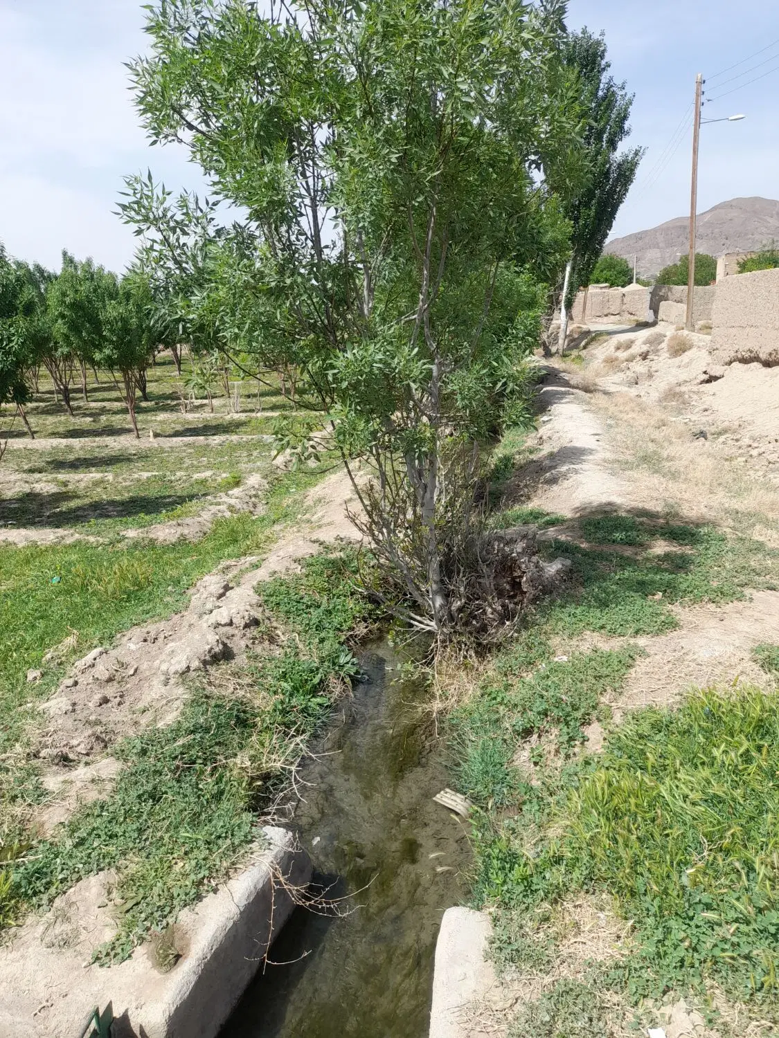فروش زمین باغی در بهترین منطقه روستای ملکی