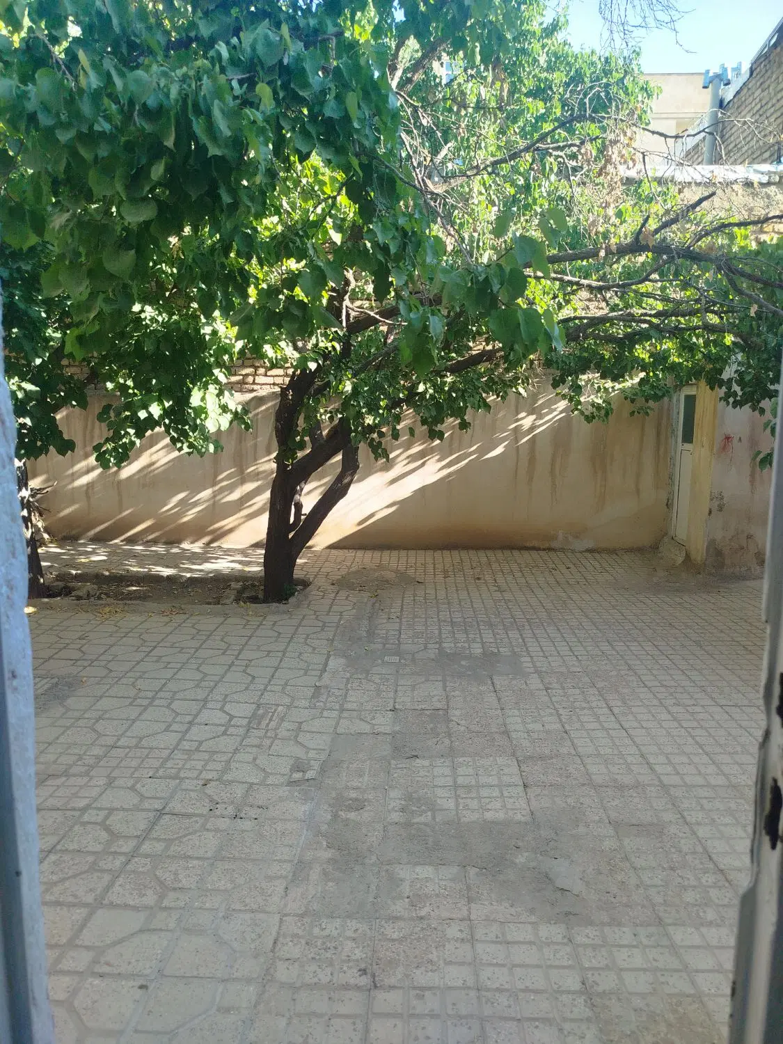اجاره خانه کوی فرهنگ