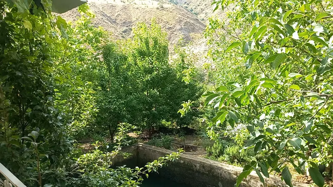 زمین مسکونی